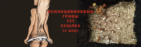 марки lsd Бородино