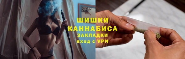 прущие грибы Верхний Тагил