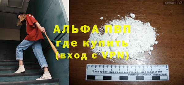 прущие грибы Верхний Тагил
