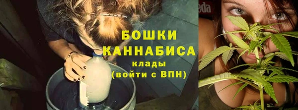 марки lsd Бородино